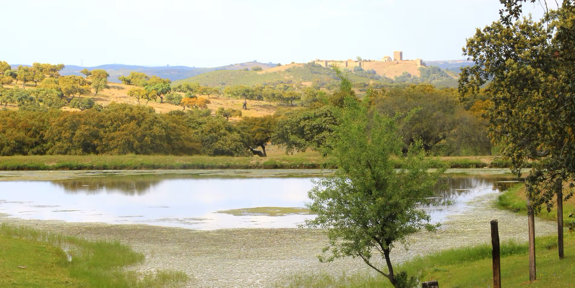 Parque de Natureza de Noudar