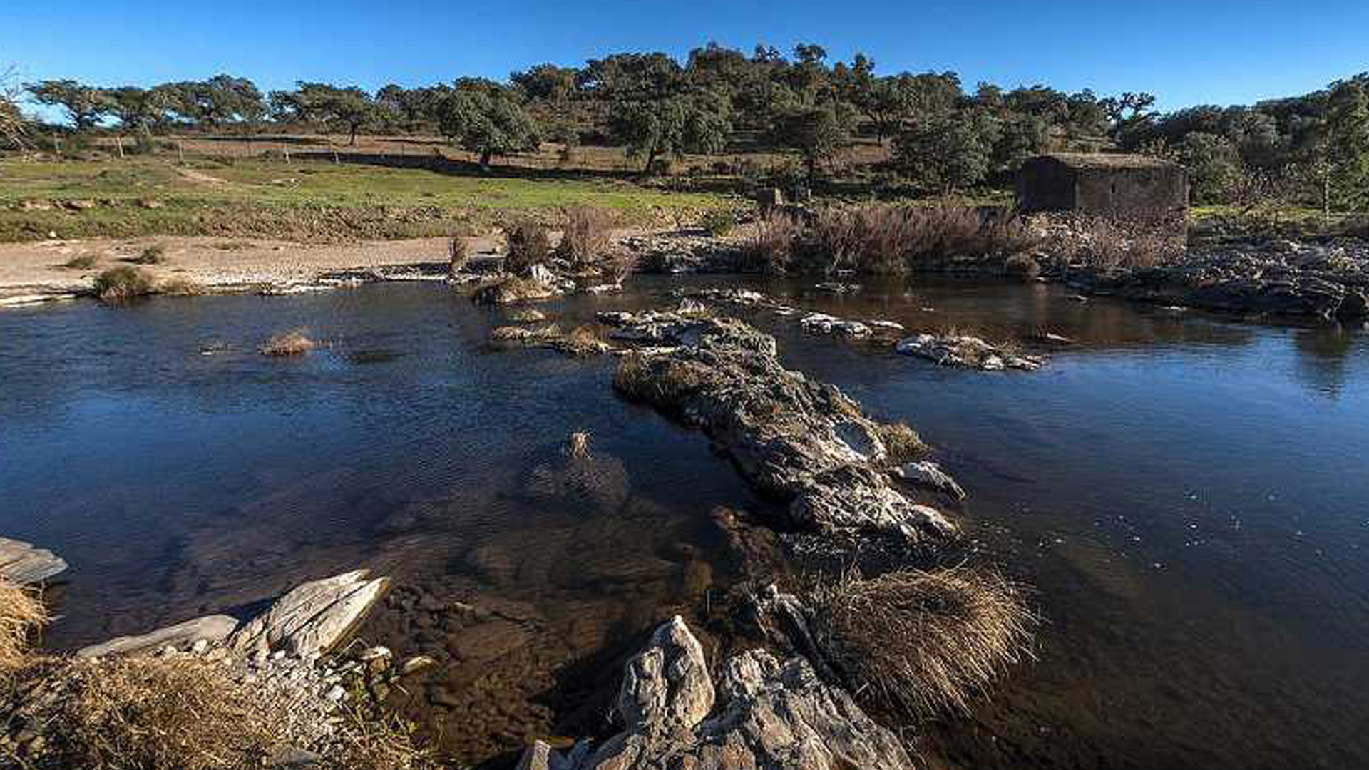 Barrancos pretende elevar o Barranquenho a 3ª Língua oficial em Portugal