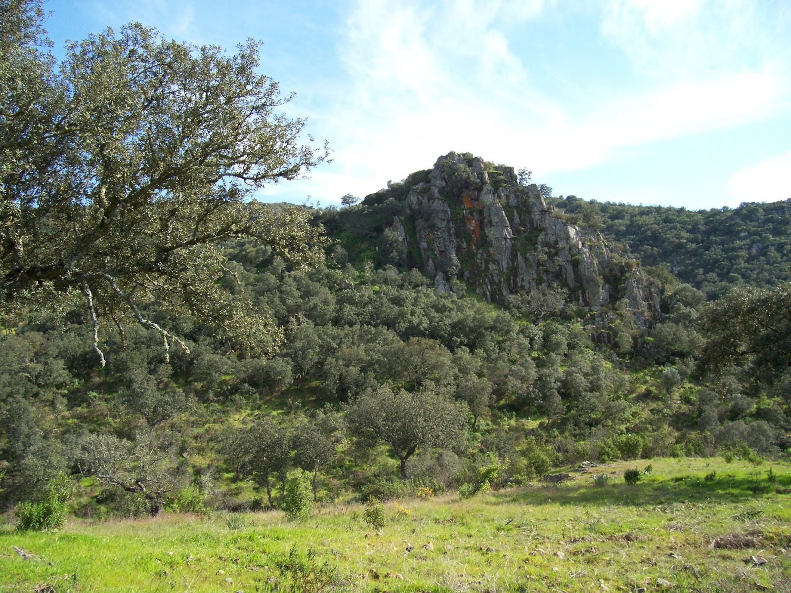 O castelo de Cid